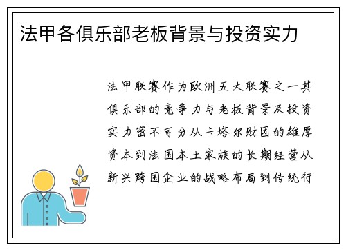 法甲各俱乐部老板背景与投资实力