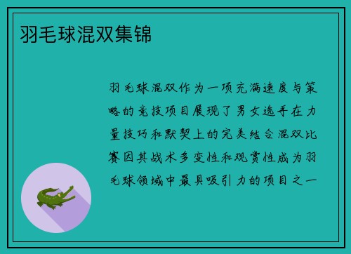羽毛球混双集锦